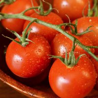 pomidor-gartenperle
